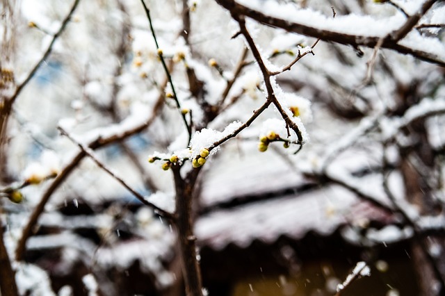 竞技水平不